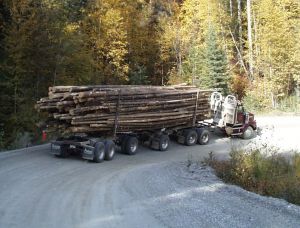 Logging Truck Charlotte North Carolina Personal Injury Attorney Lawyer.jpg