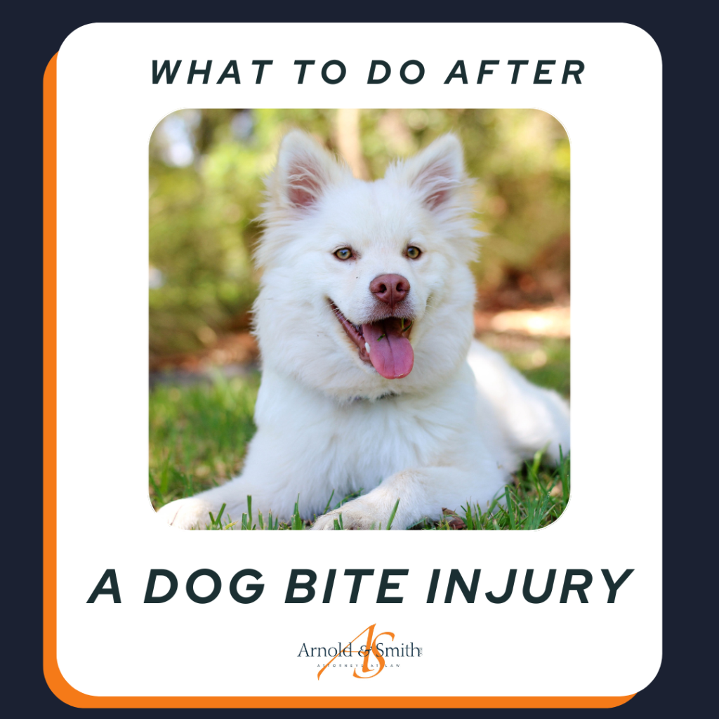 What to Do After a Dog Bite Injury — Charlotte Injury Lawyers Blog